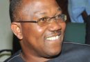 Why I Ignored Labour Party National Convention, Peter Obi 