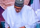 Muhammadu Buhari’s Nigerian Presidency & His Niger Republic Development Agenda